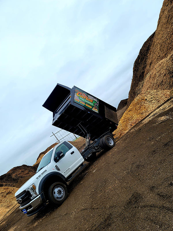 carlos-p-tree-service-img18