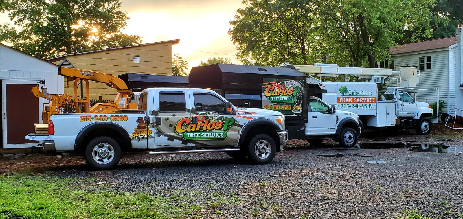 carlos-p-tree-service-img26
